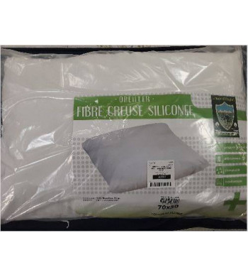 OREILLER BLANC ALOE VERA...