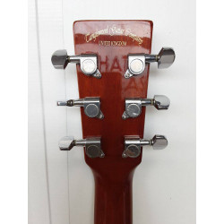 GUITARE ELECTRO-ACCOUSTIQUE  TANGLEWOOD DISCOVERY DBT SJCE TB